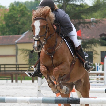 Equitation